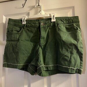 Time and Tru Green Shorts Size 18